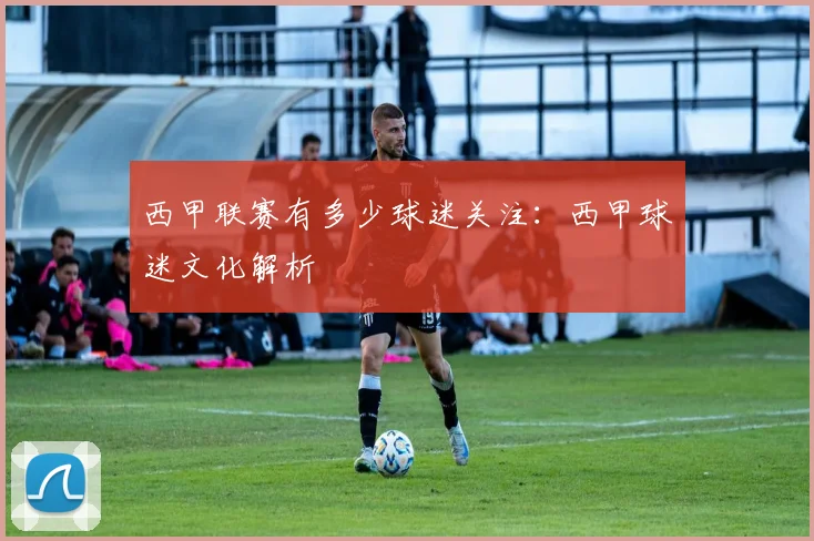 西甲联赛有多少球迷关注：西甲球迷文化解析